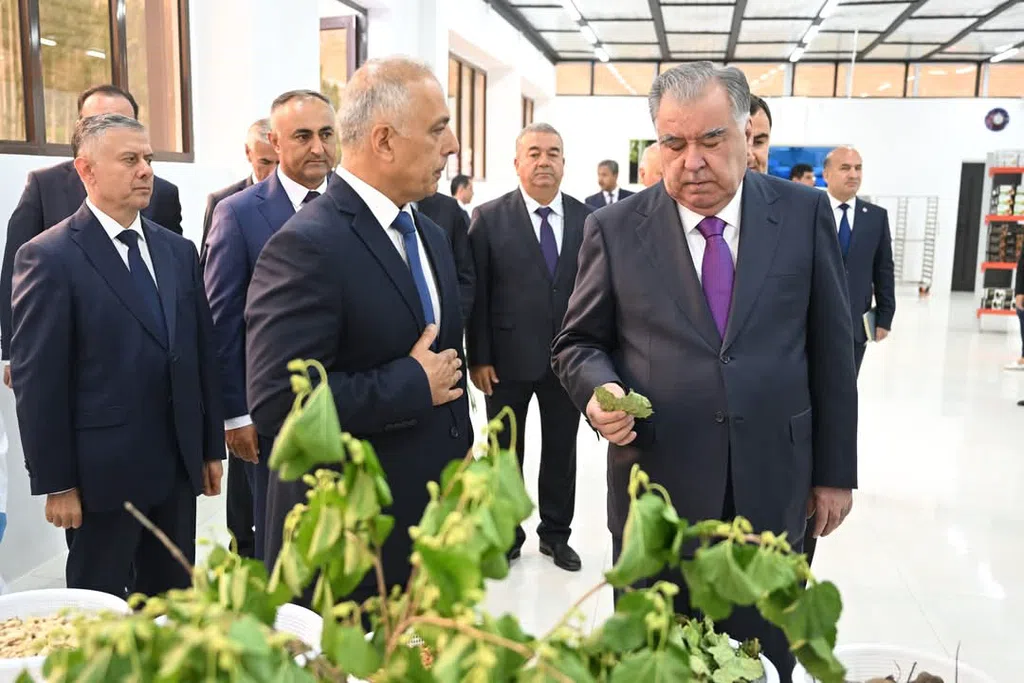 Ифтитоҳи Корхонаи ҶДММ “Барги Шоҳтут” дар ноҳияи Шуғнон